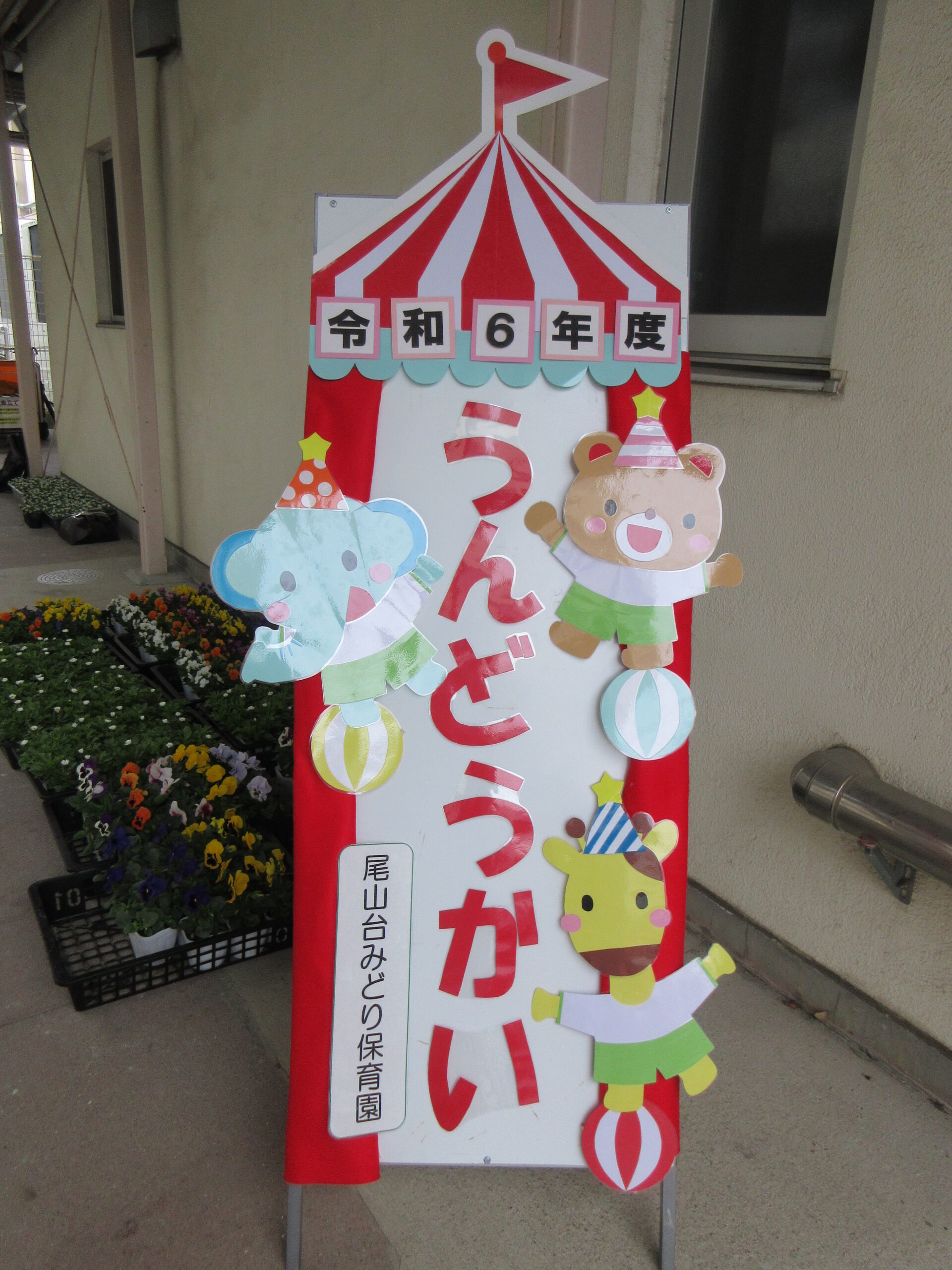 運動会🚩 | 尾山台みどり保育園